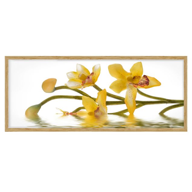 Tableau moderne Eaux d'orchidées safranées