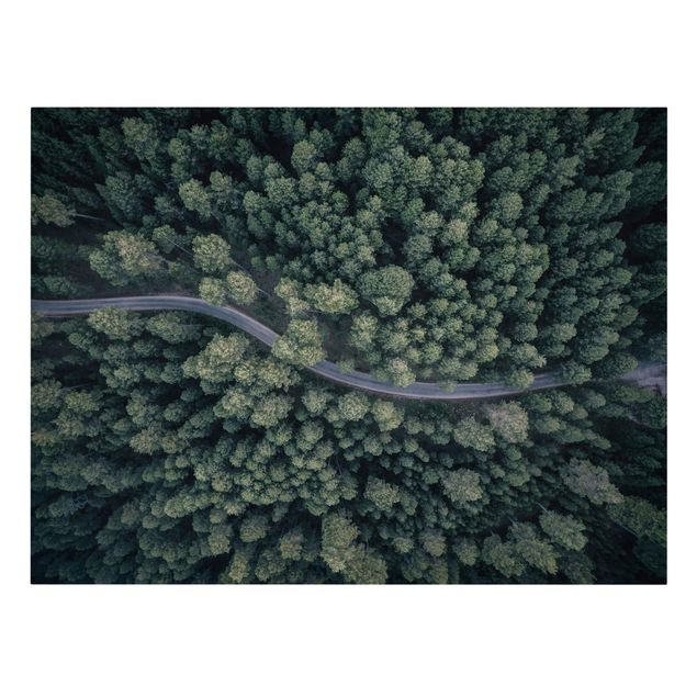 Tableau deco nature Vue aérienne - Route forestière vue d'en haut