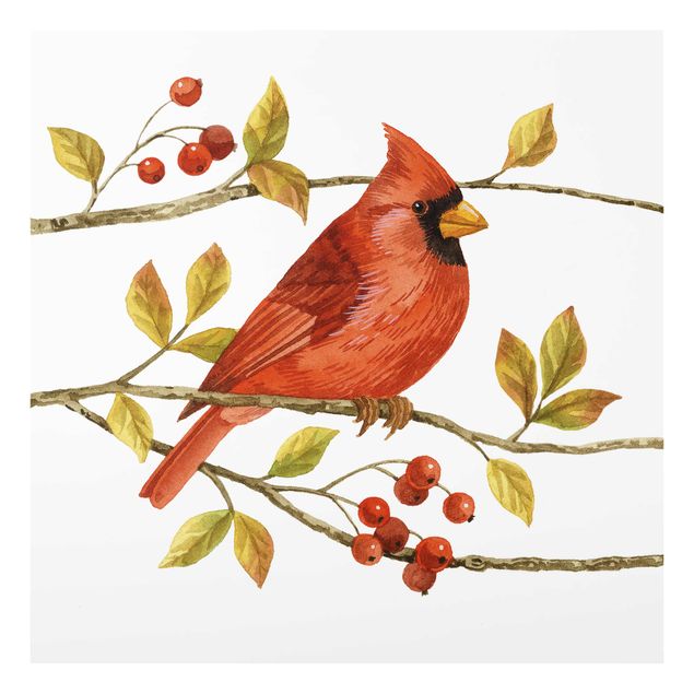 Tableau décoration Oiseaux et baies - Cardinal du Nord