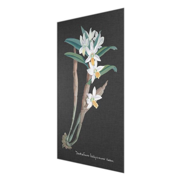 Tableaux vintage Orchidée blanche sur lin I