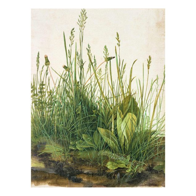 Tableaux moderne Albrecht Dürer - La grande pelouse
