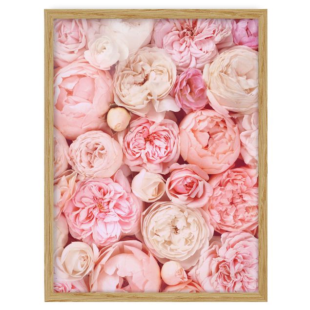 Tableau fleurs Roses Coral Shabby en rose