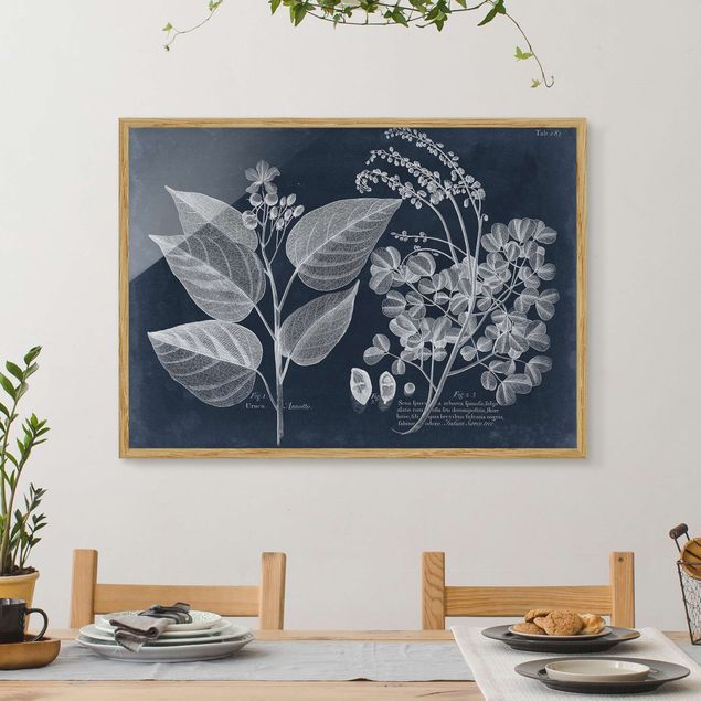 Affiches encadrées fleurs Feuillage bleu foncé - Annotto