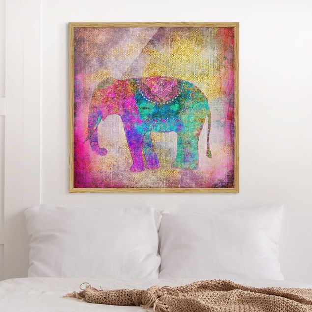 Déco murale cuisine Collage coloré - Éléphant indien