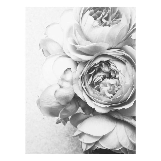 Tableaux en verre noir et blanc Fleurs de Pivoine Noir et Blanc