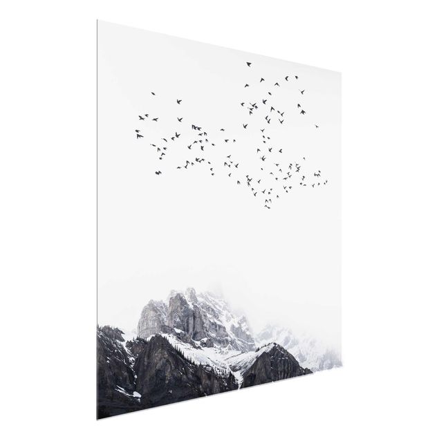 Tableau verre montagne Volée d'oiseaux devant des montagnes noir et blanc