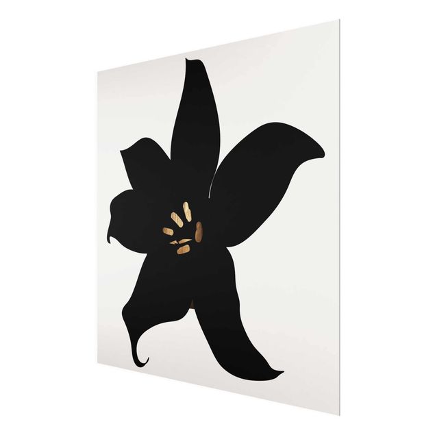 Tableaux en verre noir et blanc Monde végétal graphique - Orchidée noire et or