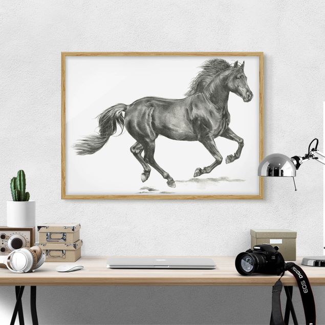 Tableau cheval Cheval sauvage - Étalon