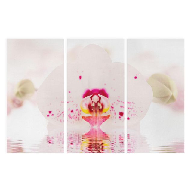 tableaux floraux Orchidée en pointillés sur l'eau