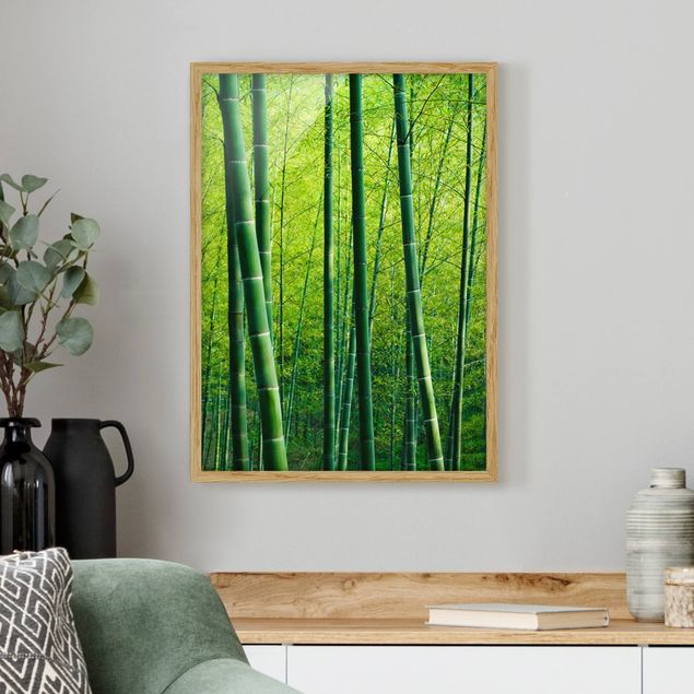 Tableaux paysage Forêt de bambous