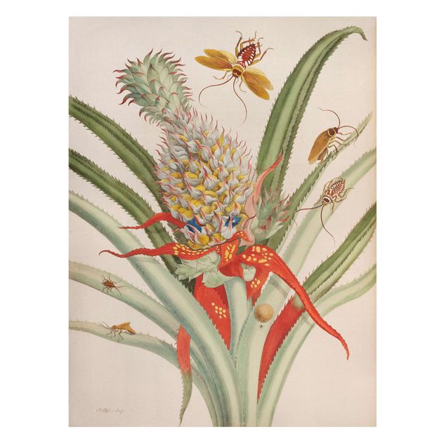 Tableau floral Anna Maria Sibylla Merian - Ananas avec insectes
