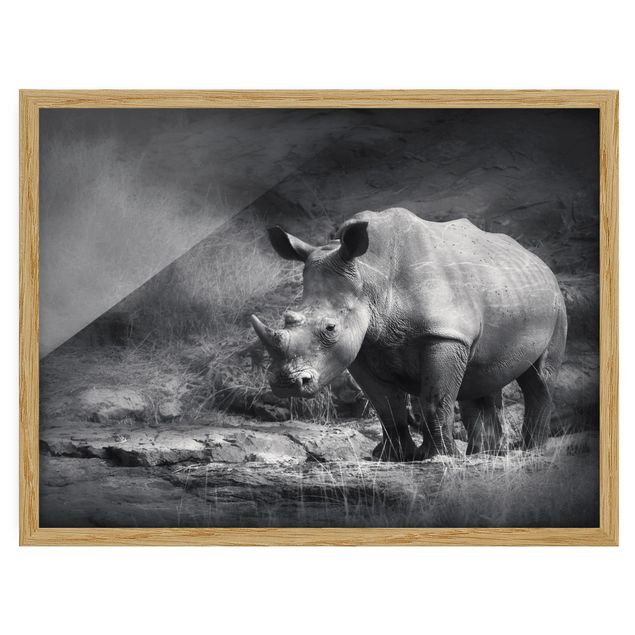 Poster encadré abstrait Rhinocéros solitaire