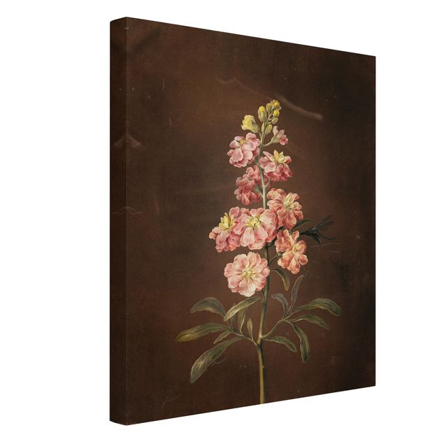 tableaux floraux Barbara Regina Dietzsch - Une giroflée rose pâle