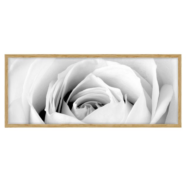 Tableau moderne Close Up Rose