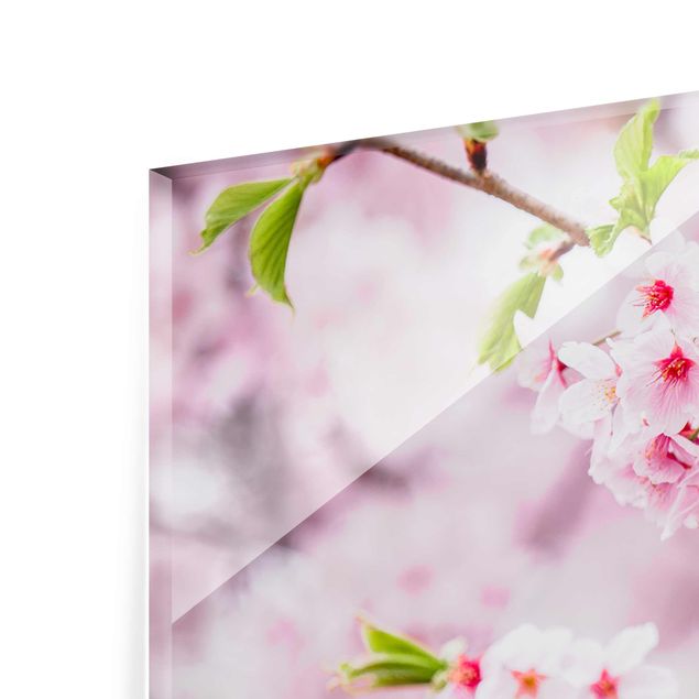Tableau décoration Japanese Cherry Blossoms