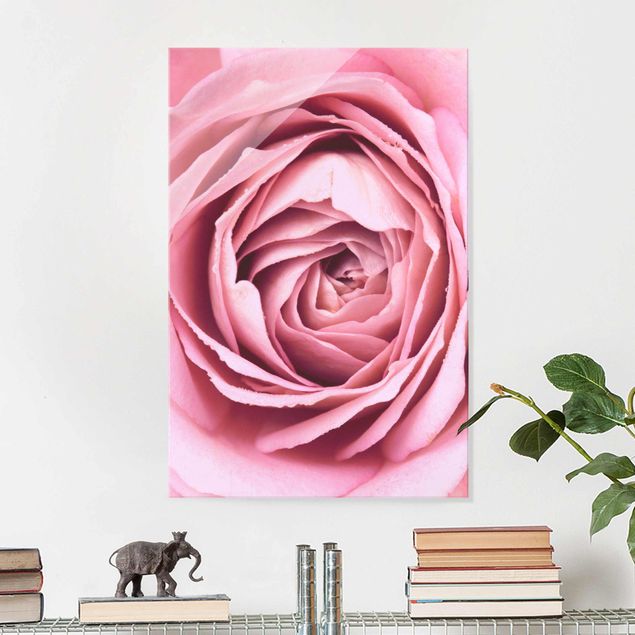 Tableaux en verre magnétique Fleur de Rose rose