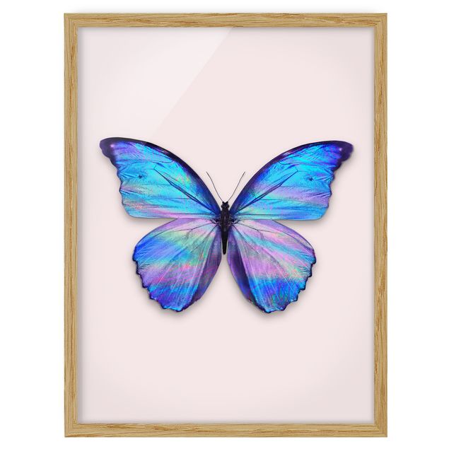 Tableaux encadrés animaux Papillon Holographique