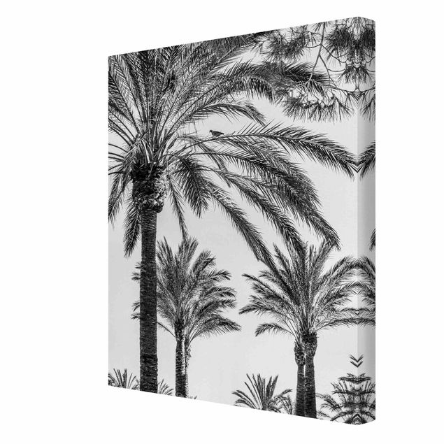 Tableaux sur toile en noir et blanc Palmiers au coucher du soleil noir et blanc