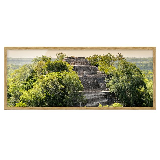 Tableau jungle tropicale Pyramide de Calakmul