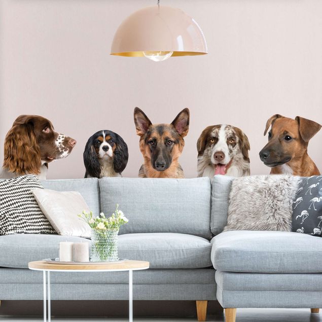 Sticker mural chien 5 amis
