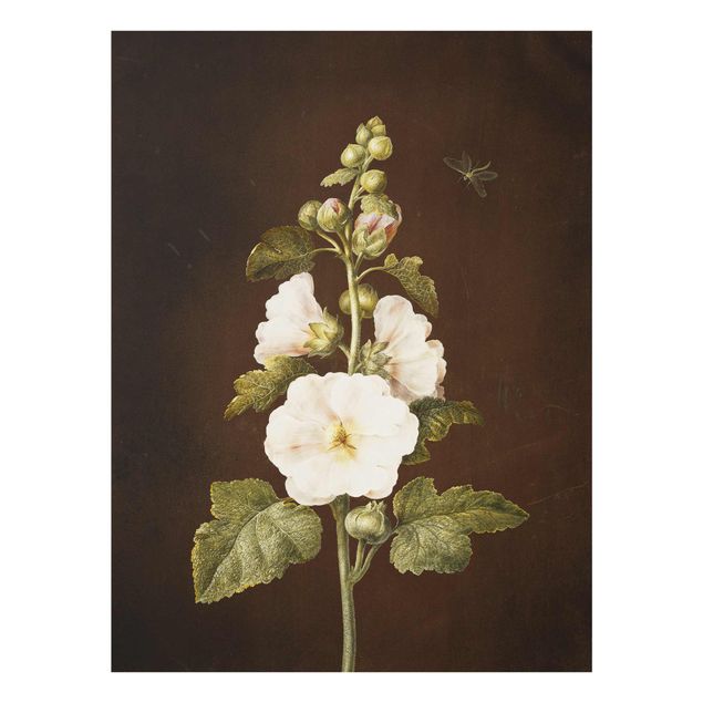 Tableaux en verre fleurs Barbara Regina Dietzsch - Rose trémière