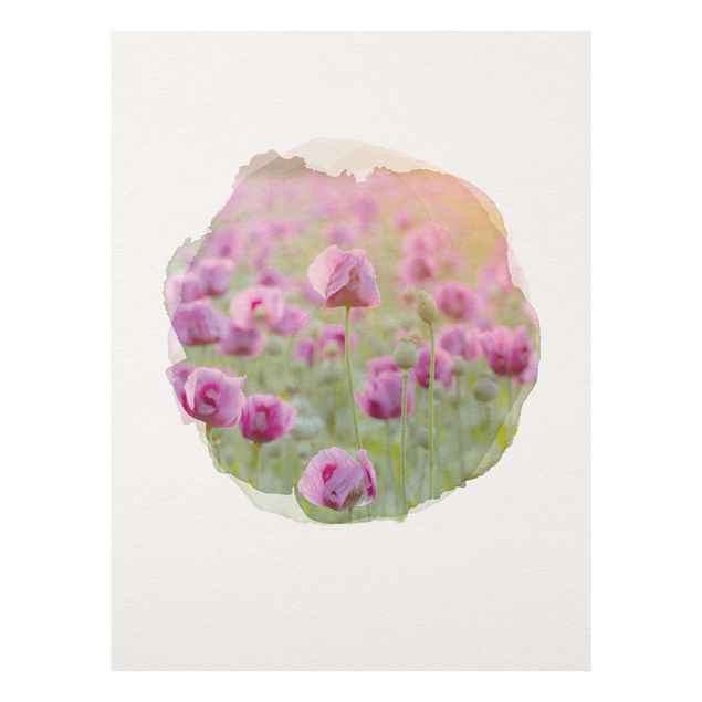 Tableaux en verre fleurs Aquarelles - Champ de coquelicots violets au printemps