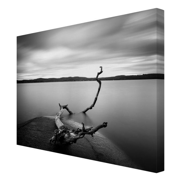 Tableau nature Coucher de soleil en noir et blanc au bord du lac