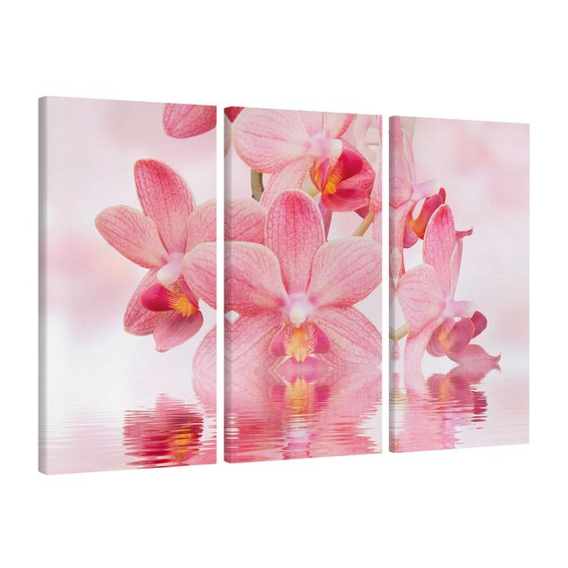 Tableaux modernes Orchidée rose clair sur l'eau