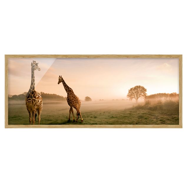 Affiches encadrées paysage Surreal Giraffes
