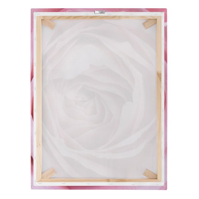 Tableau décoration Fleur de Rose rose