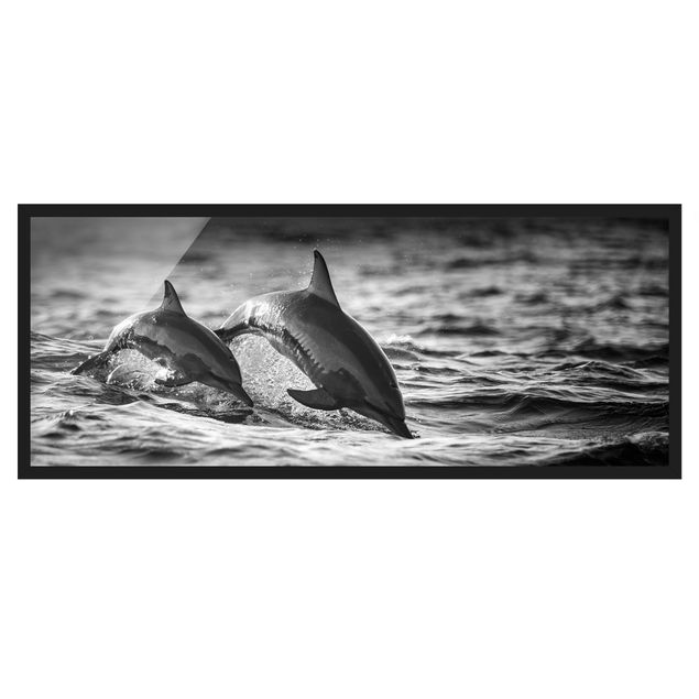 Affiches encadrées animaux Deux dauphins qui sautent