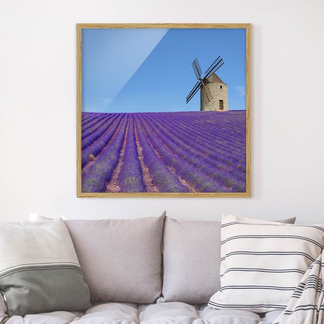 Tableau paysages Senteur de lavande en Provence