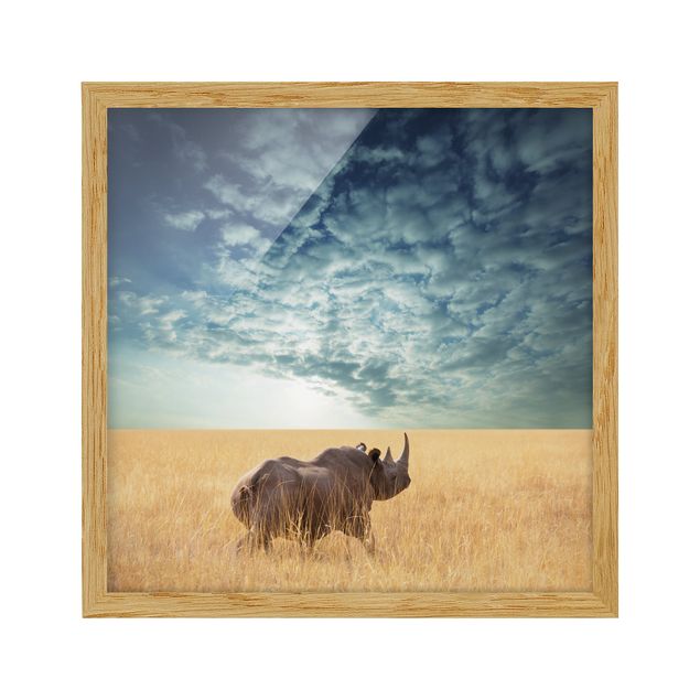 Tableaux encadrés animaux Rhinocéros dans la savane