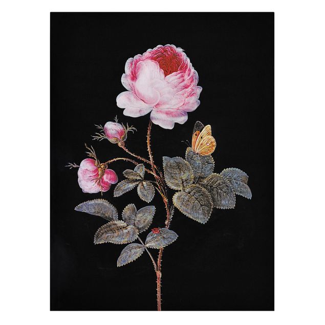 Toiles roses Barbara Regina Dietzsch - La rose à cent pétales