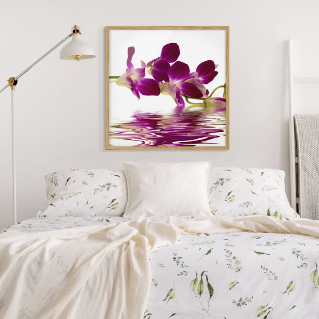 Affiches encadrées fleurs Eaux d'orchidées roses