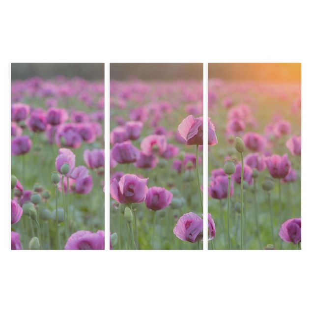 Tableau fleurs Prairie de coquelicots violets au printemps