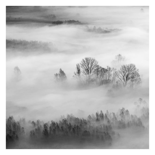 Papier peint adhésif forêt - Fog At Sunrise Black And White