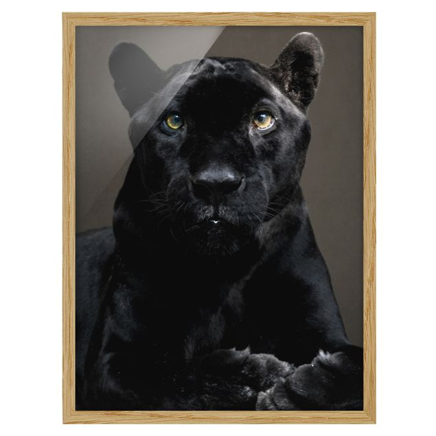 Tableaux animaux Puma noir