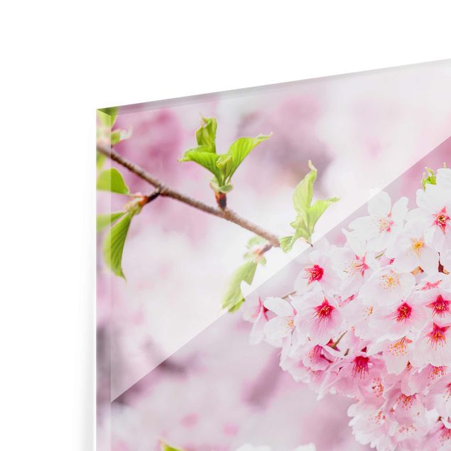 Tableau décoration Japanese Cherry Blossoms
