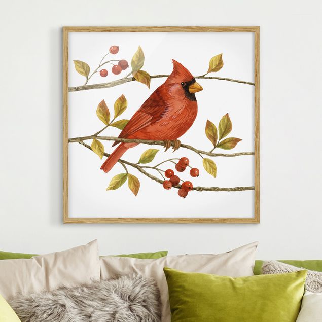 Affiches encadrées vintage Oiseaux et baies - Cardinal du Nord