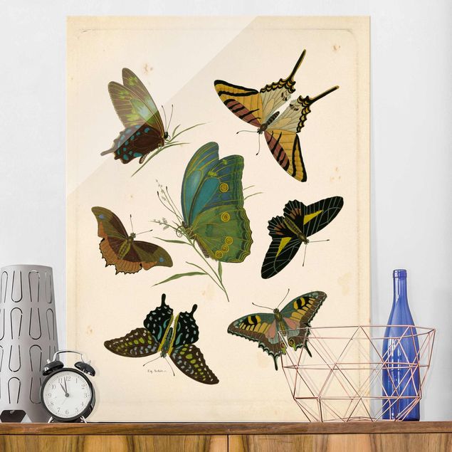 Déco mur cuisine Illustration vintage Papillons Exotiques