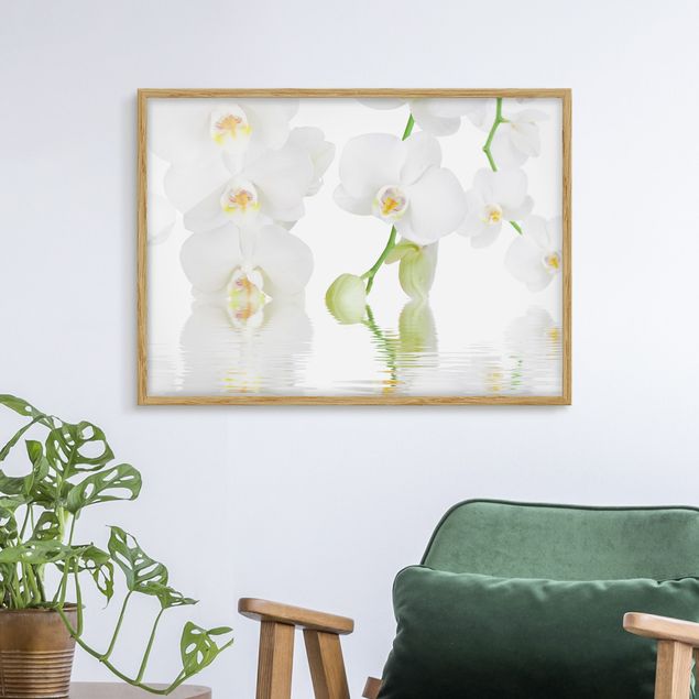 Déco murale cuisine Spa Orchid - Orchidée blanche