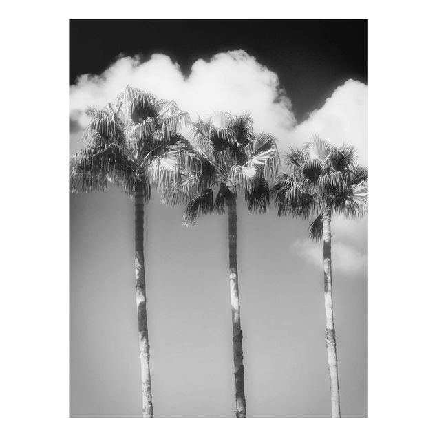 Tableau moderne Palmiers Contre Le Ciel Noir Et Blanc