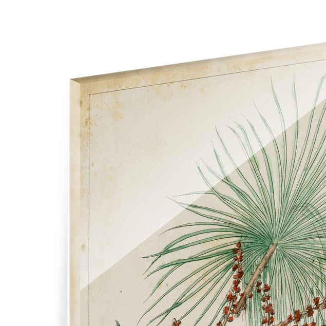 Tableau en verre - Vintage Board Exotic Palms III