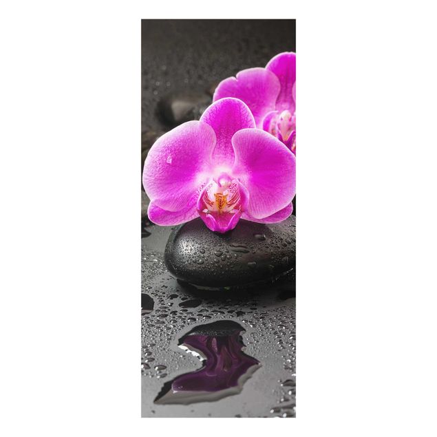Tableau moderne Fleur Orchidée Rose sur Pierres avec Gouttes