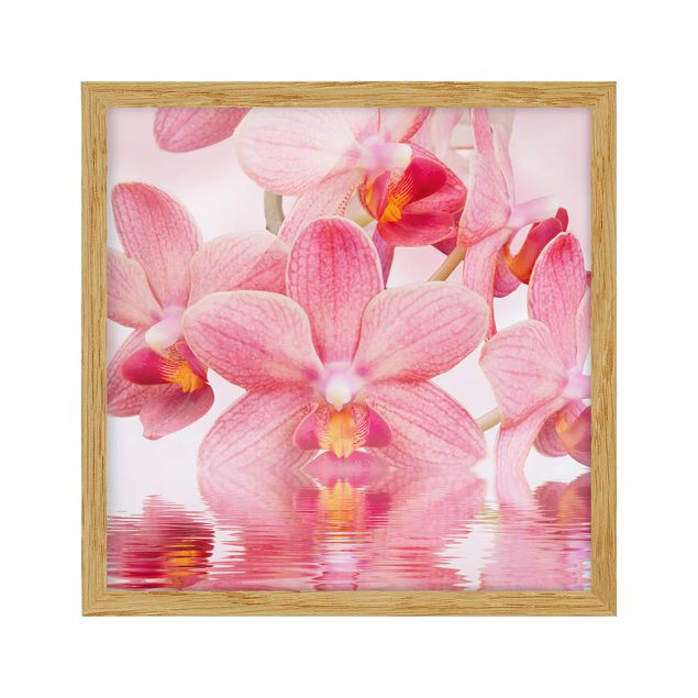 Tableau moderne Orchidée rose clair sur l'eau