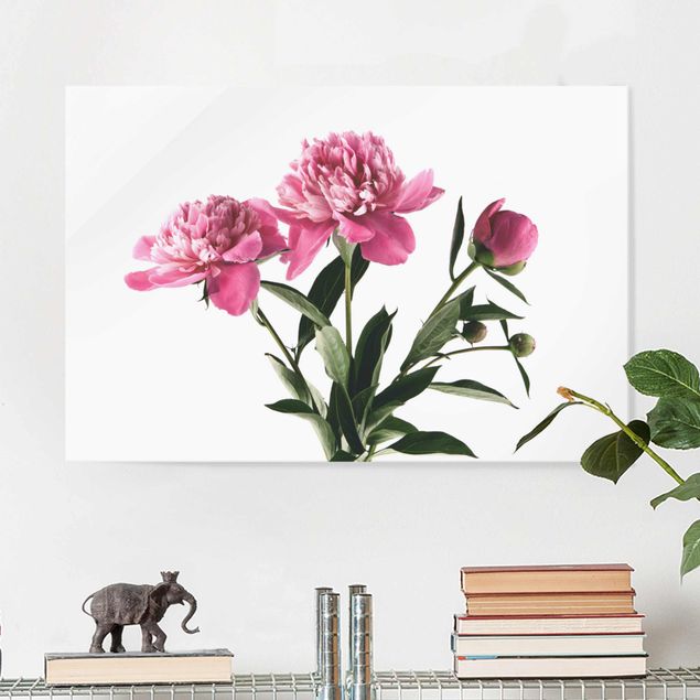 Tableau en verre - Pink Flowers And Buds On White
