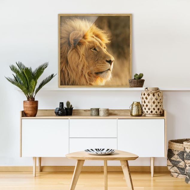 Tableaux lions King Lion