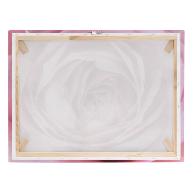 Tableau décoration Fleur de Rose rose