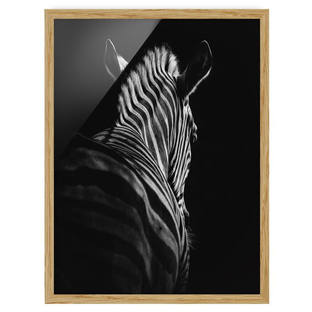 Tableaux encadrés animaux Silhouette de zèbre en noir et blanc